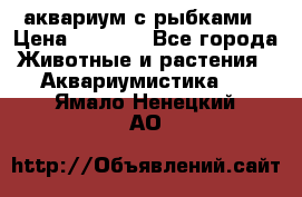 аквариум с рыбками › Цена ­ 1 000 - Все города Животные и растения » Аквариумистика   . Ямало-Ненецкий АО